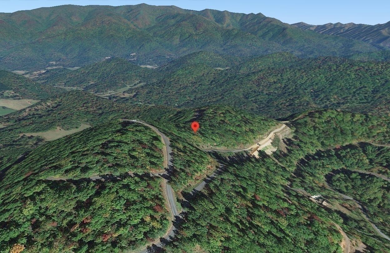 Gis long view