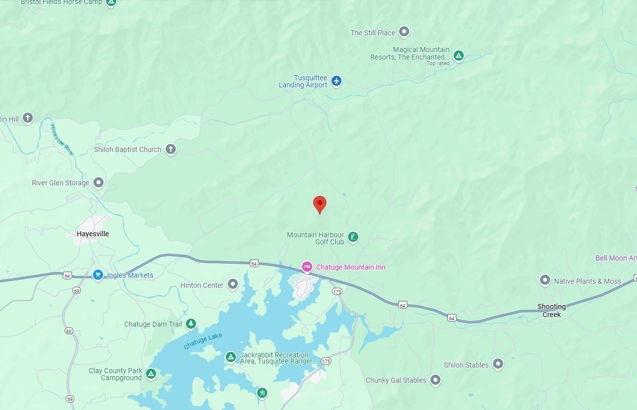 Google Maps