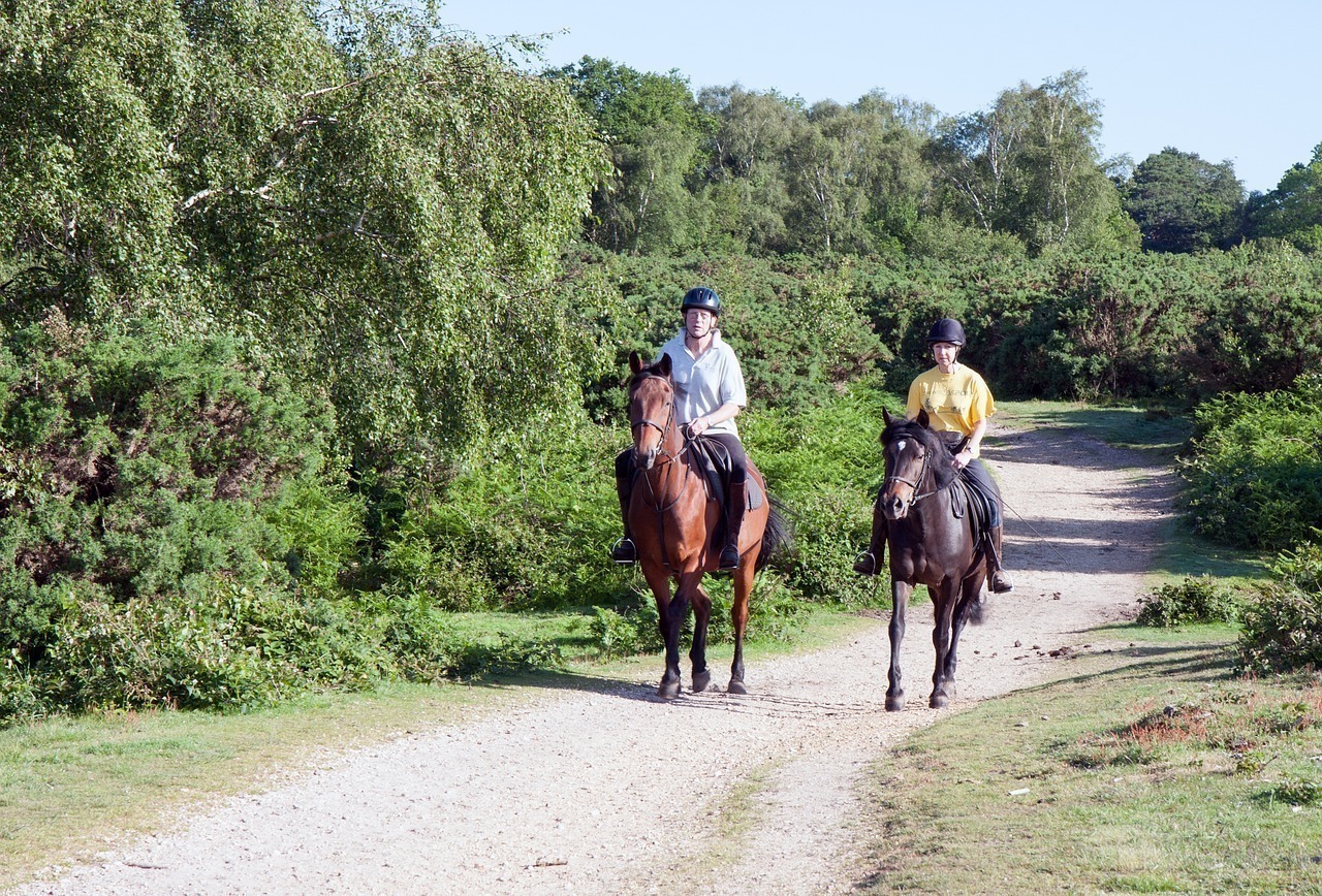 Trail Riding on Horseback