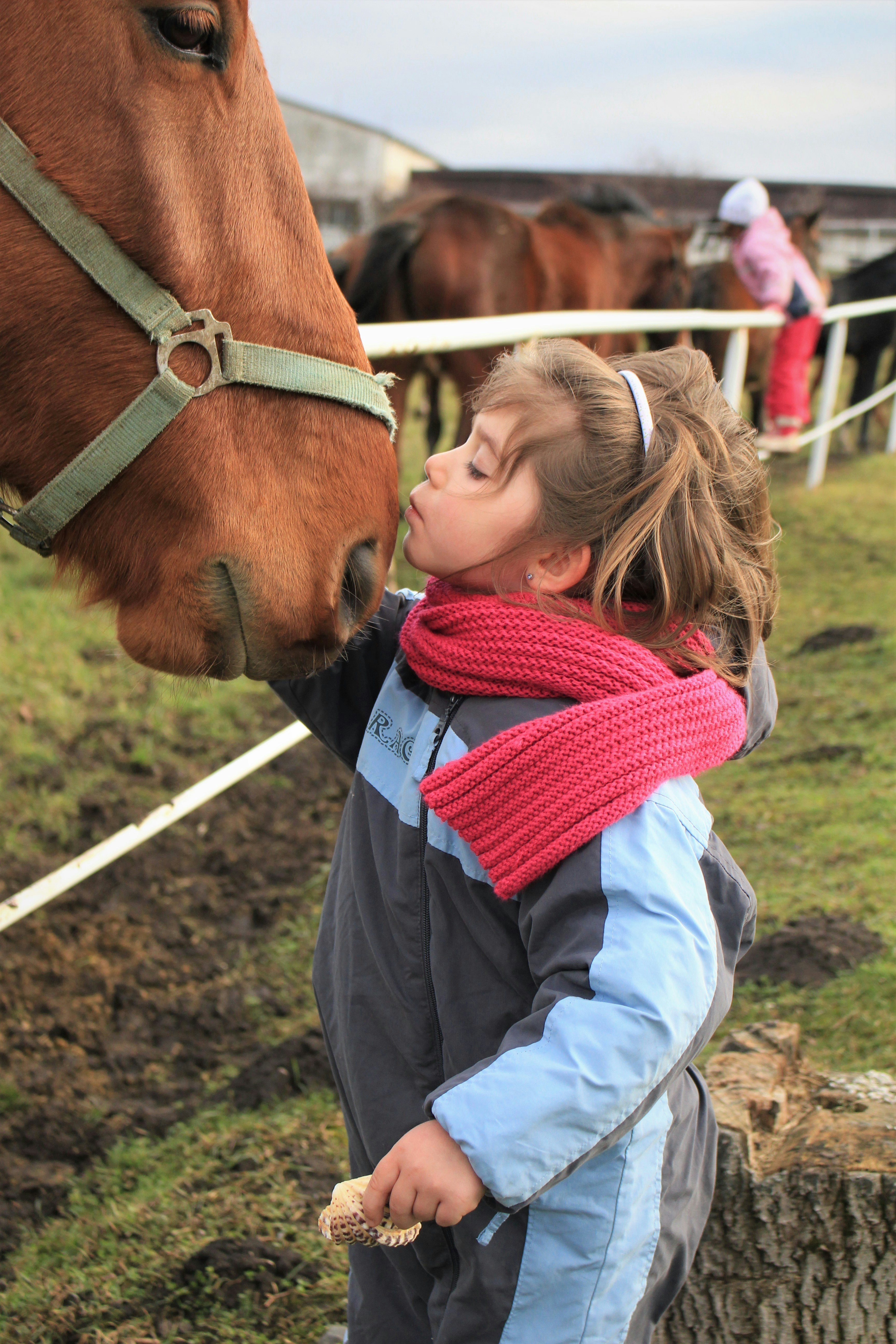 Horse Lovers